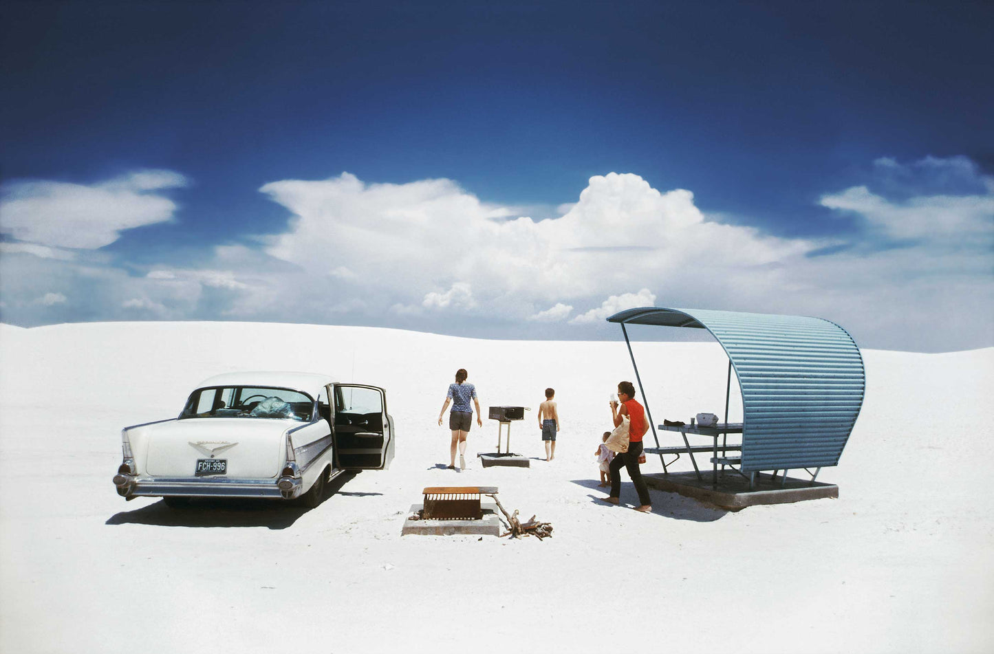 Winogrand Color