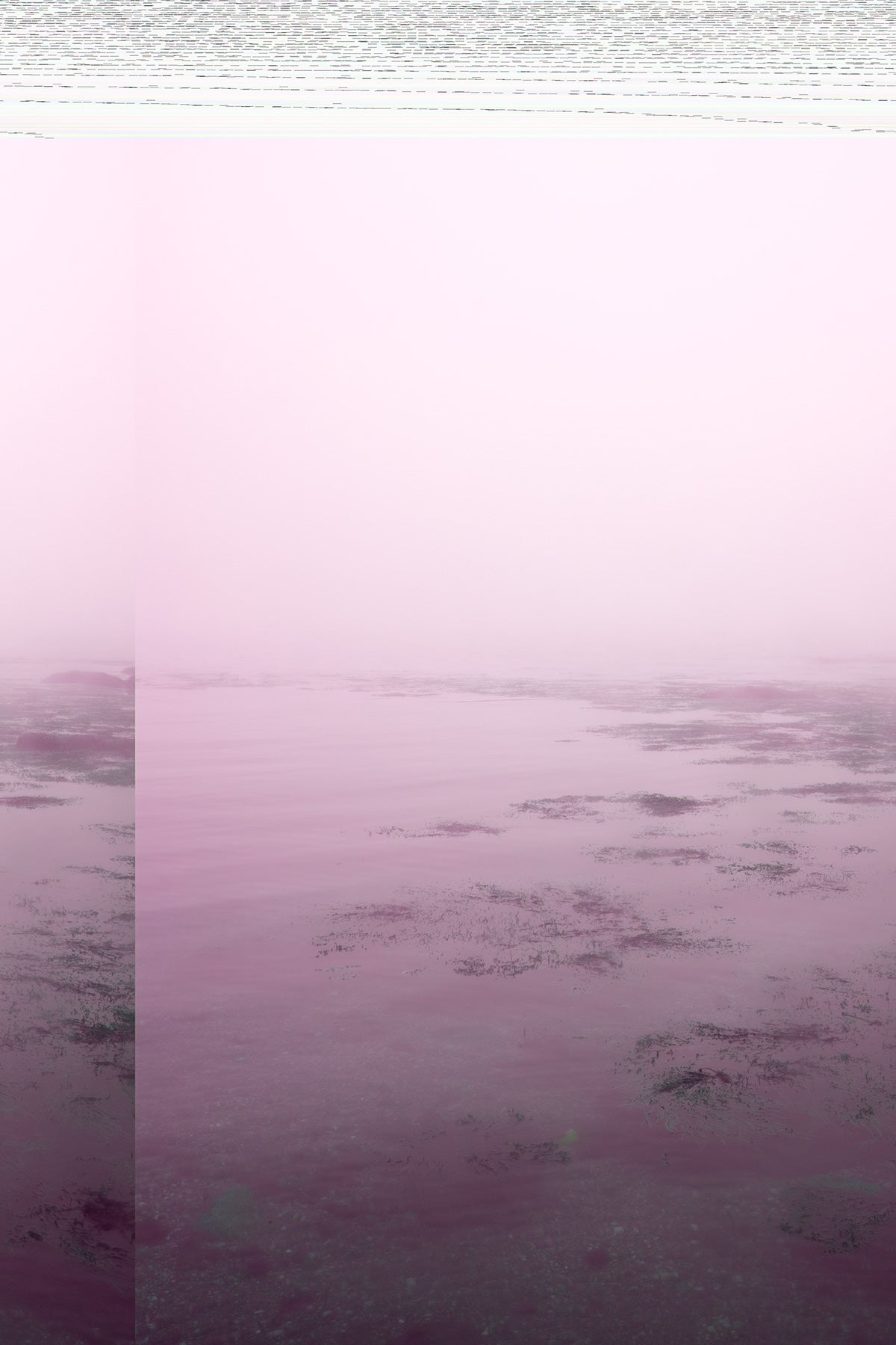Daily, In A Nimble Sea