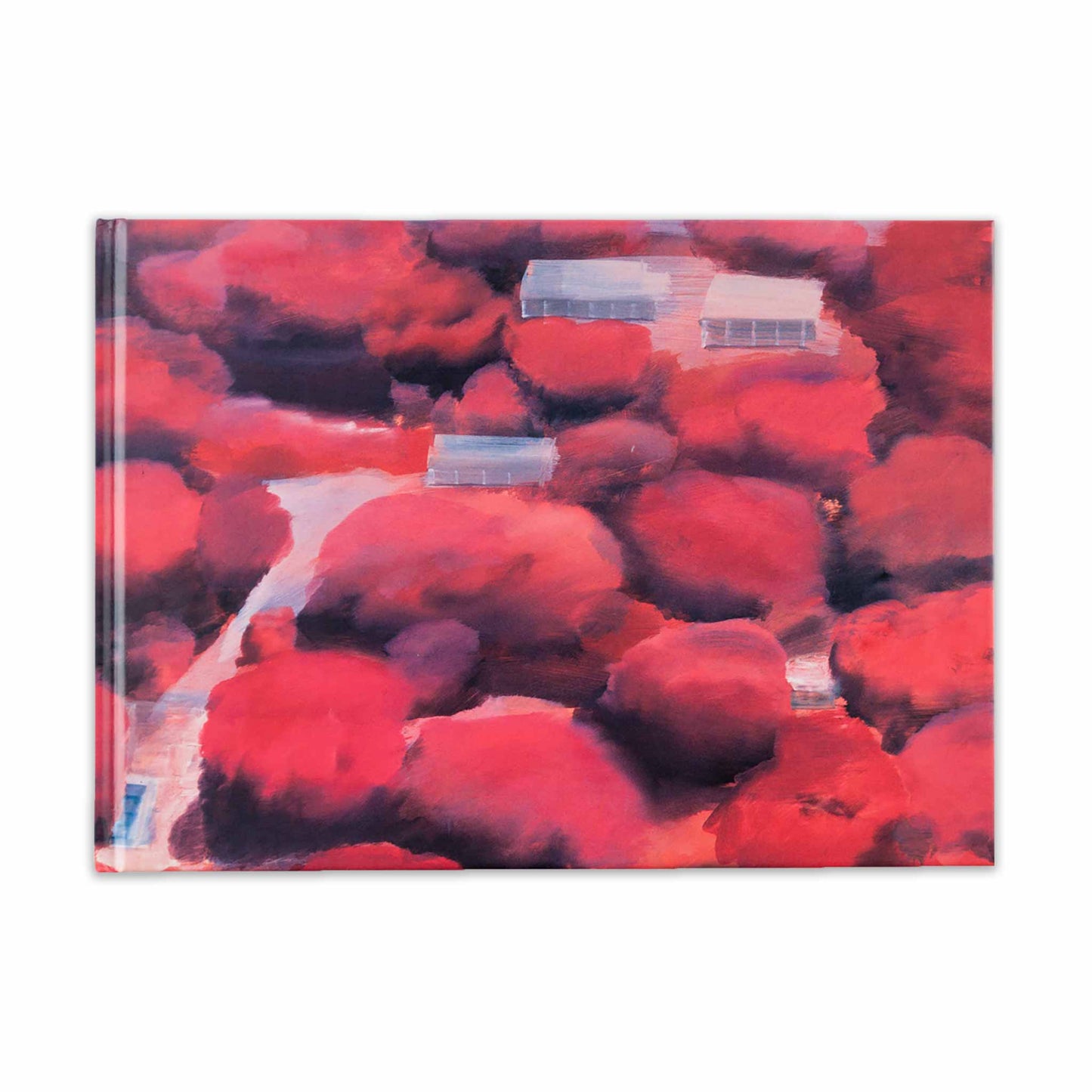 Photographs / Paintings