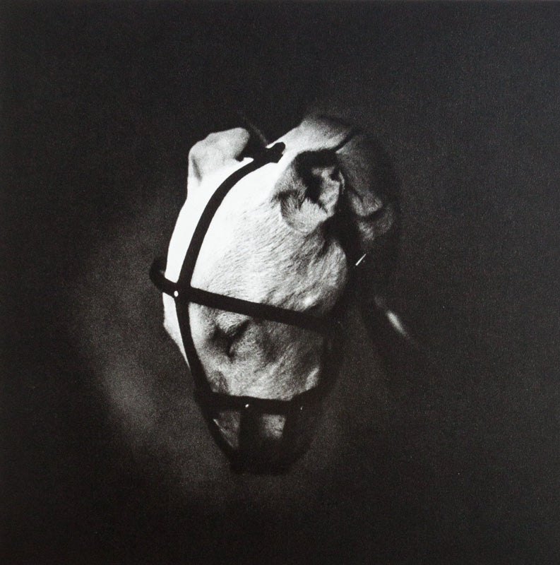 Matt Mahurin: Photographs