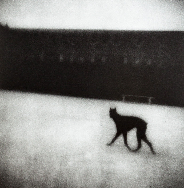 Matt Mahurin: Photographs