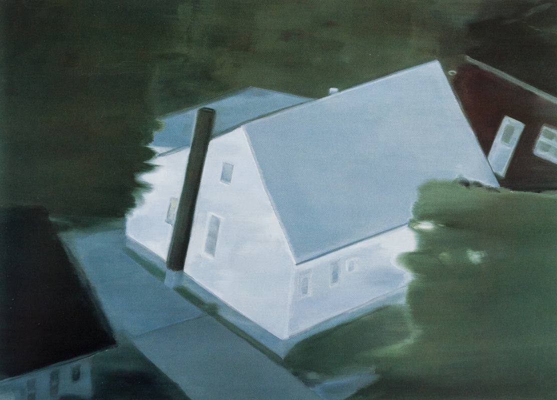 Photographs / Paintings