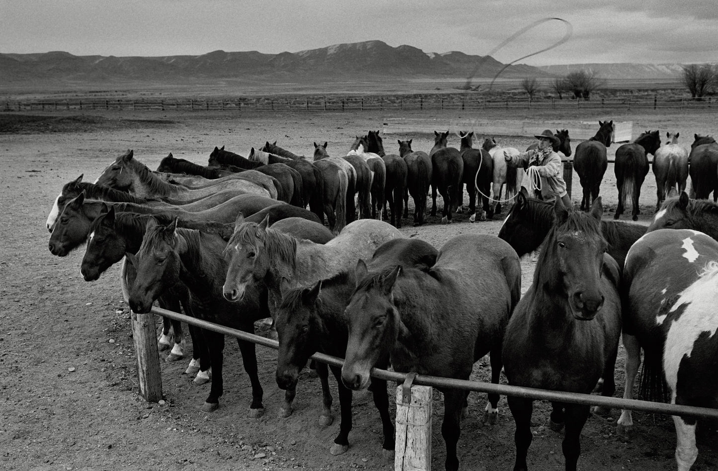 Open Range