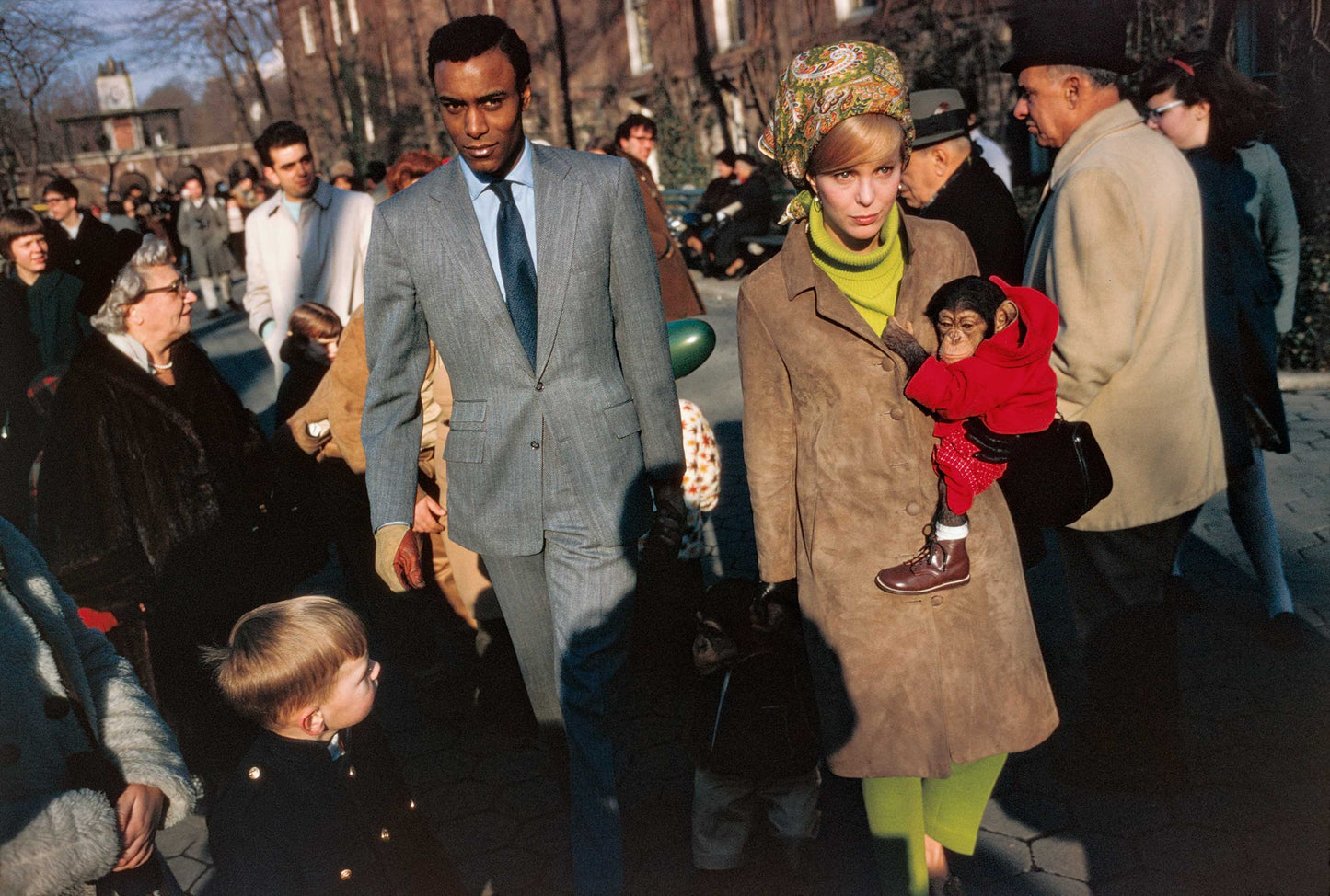 Winogrand Color