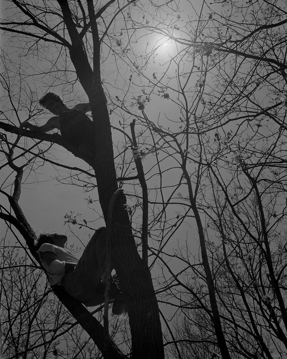 Twelve Acres