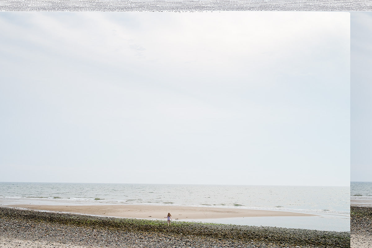 Daily, In A Nimble Sea