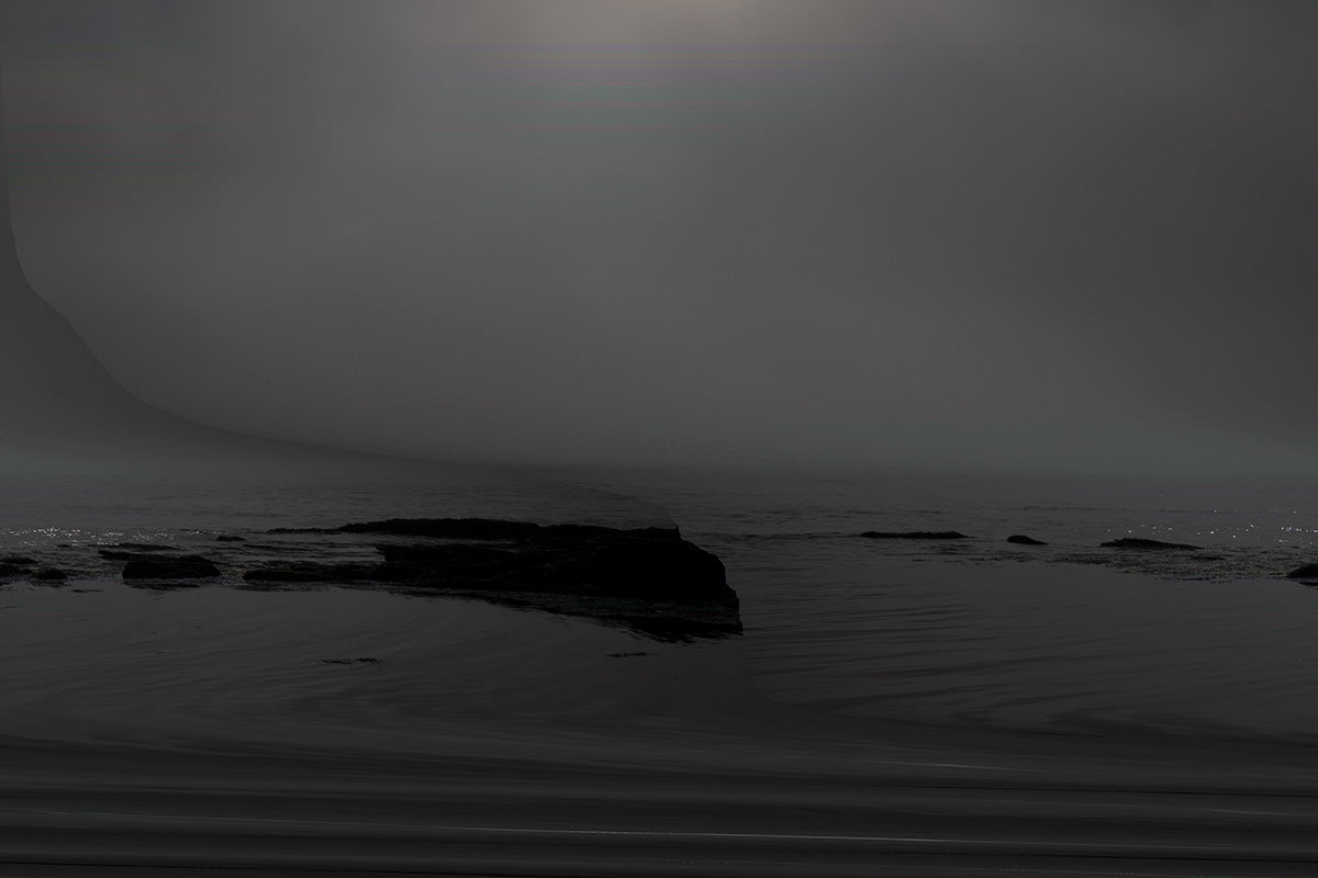 Daily, In A Nimble Sea