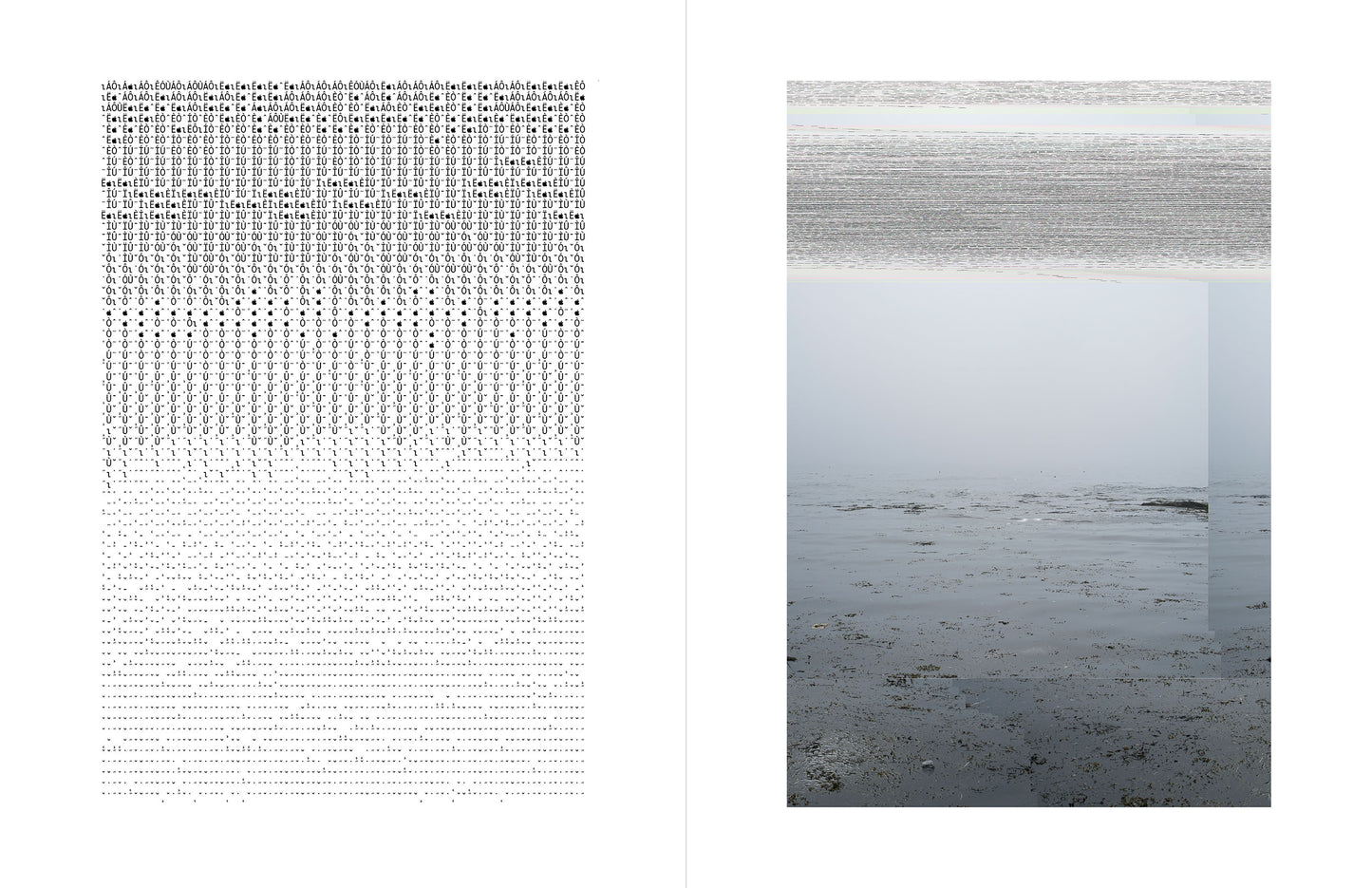 Daily, In A Nimble Sea