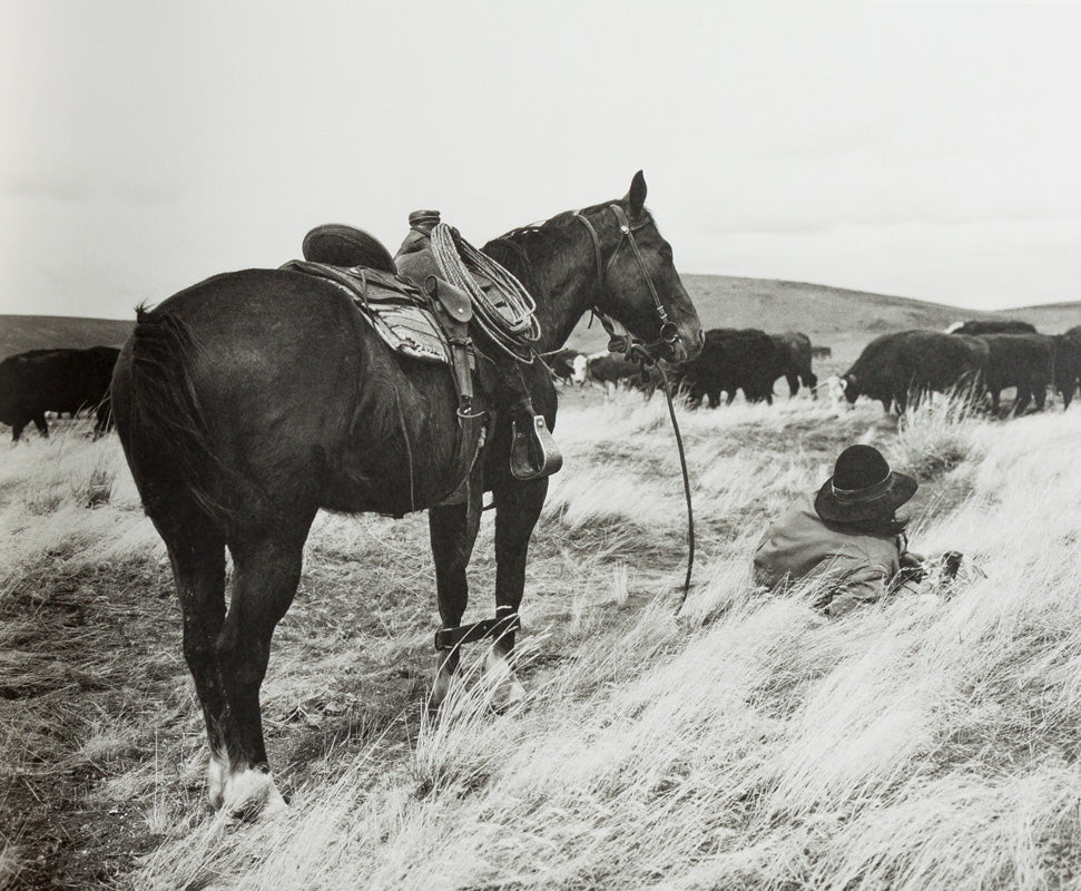After Barbed Wire: Cowboys of Our Time