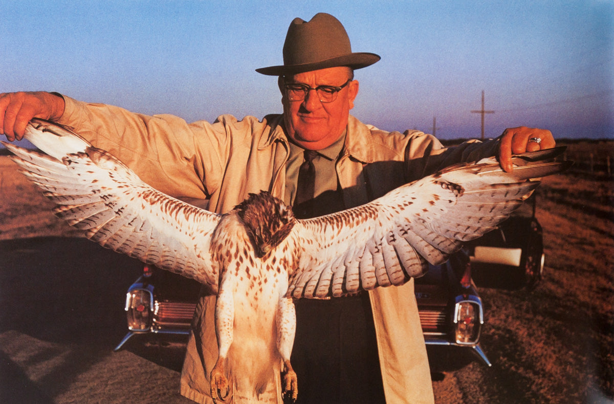 Americans in Kodachrome