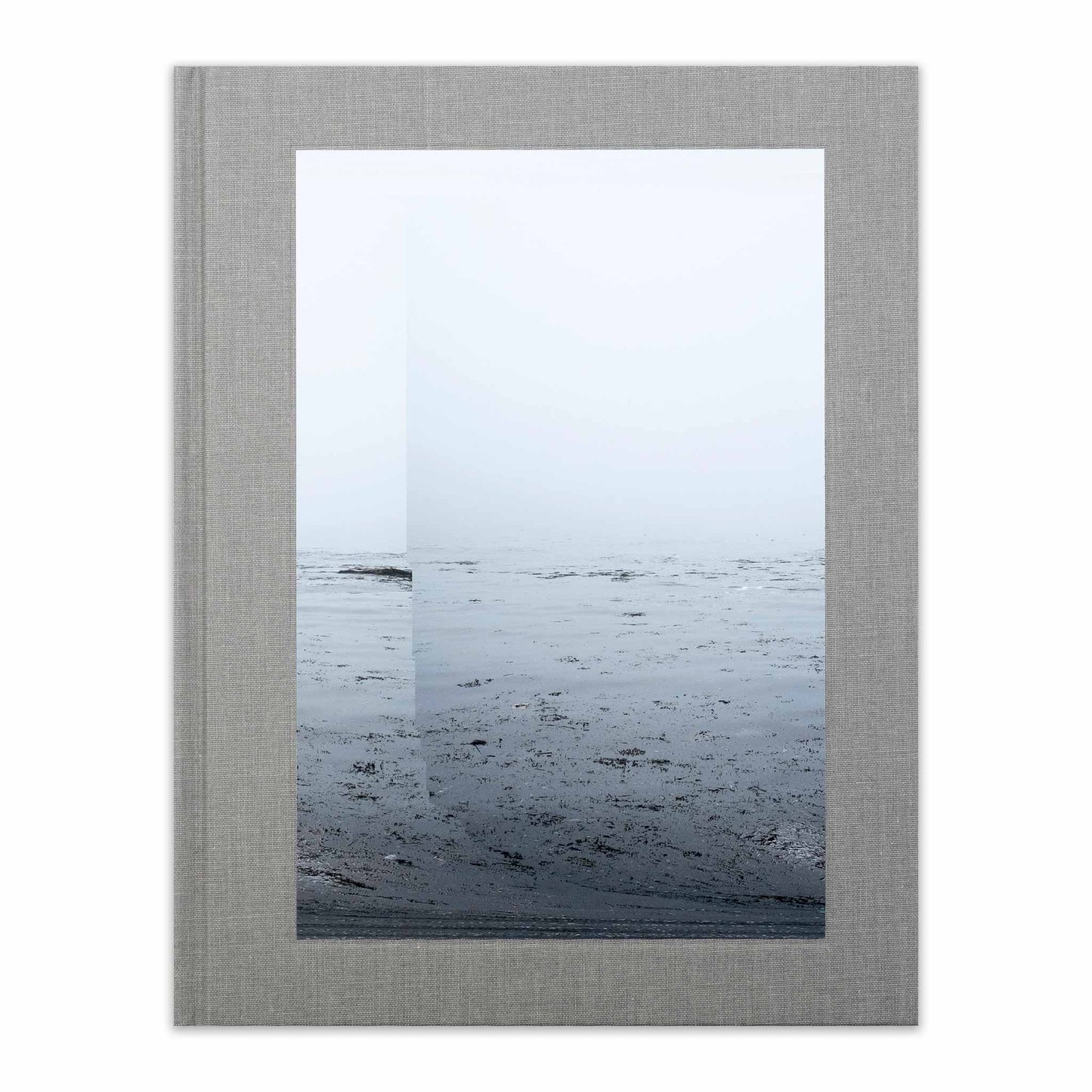 Daily, In A Nimble Sea