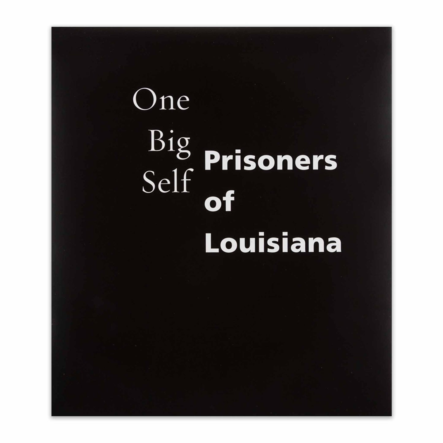 One Big Self