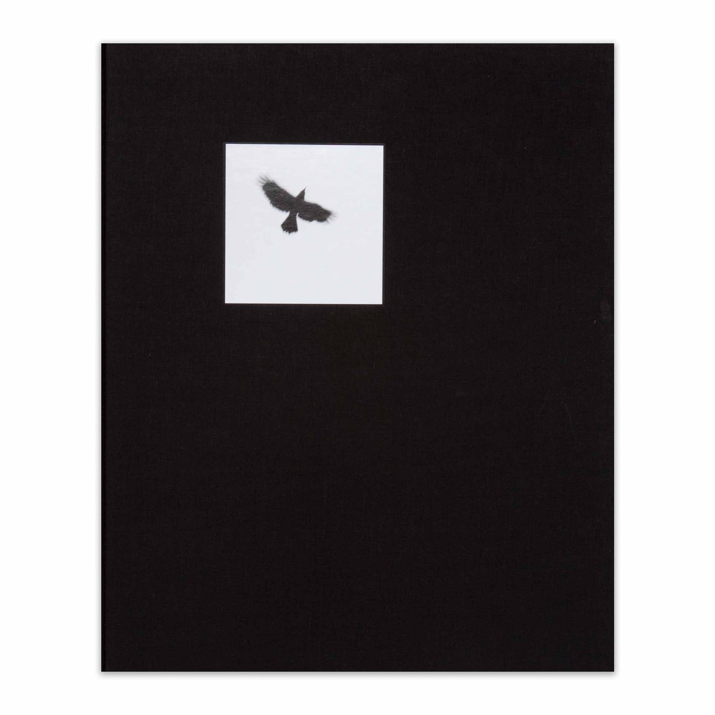 Pajaros