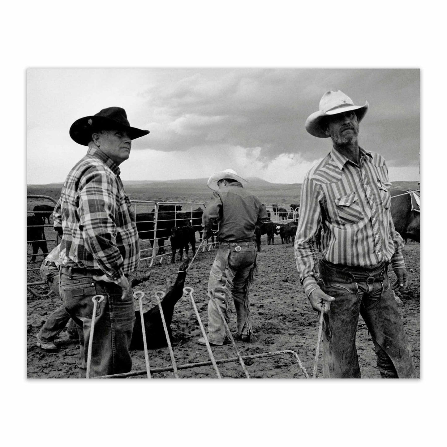 Open Range