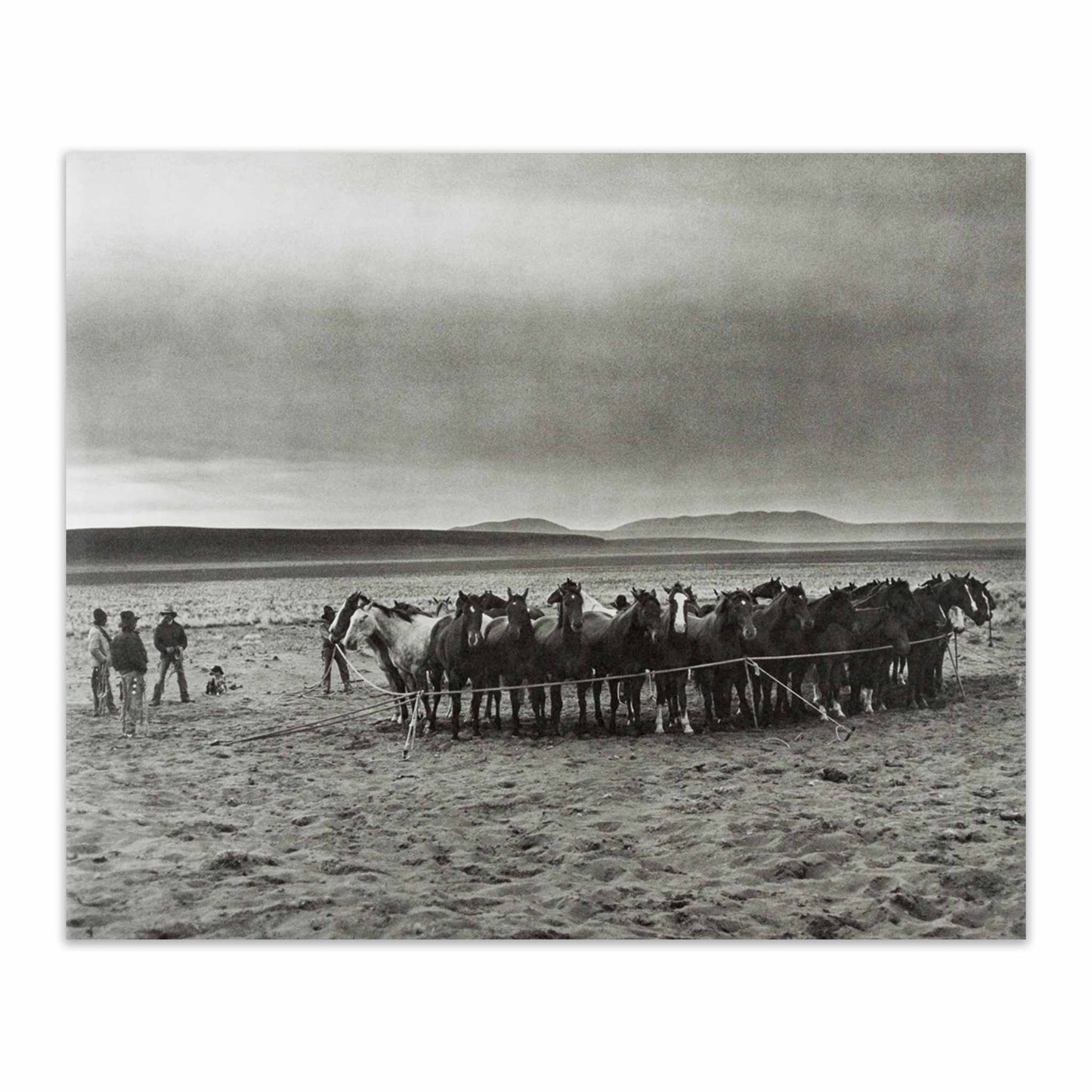 After Barbed Wire: Cowboys of Our Time