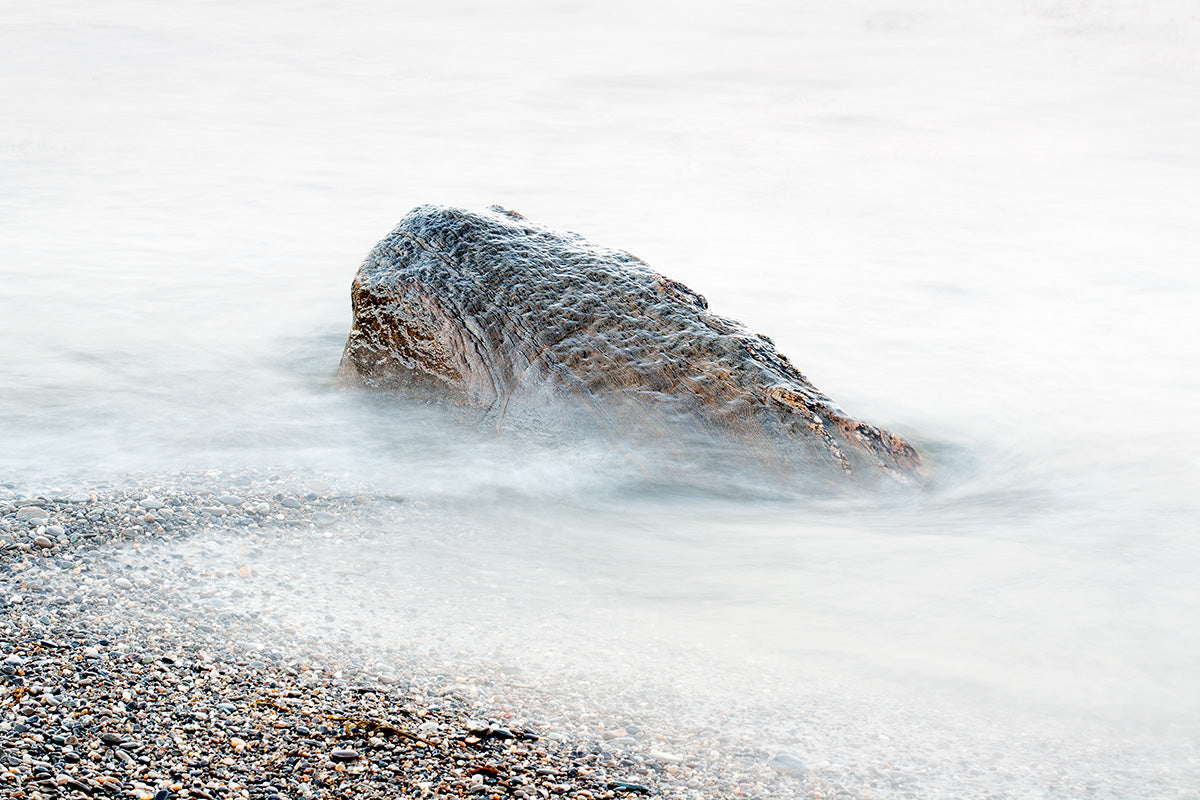 Daily, In A Nimble Sea