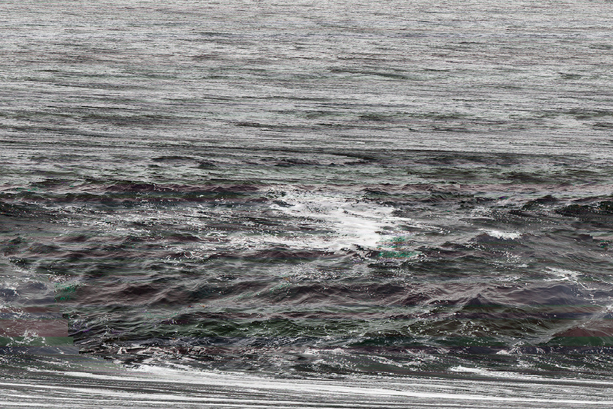 Daily, In A Nimble Sea
