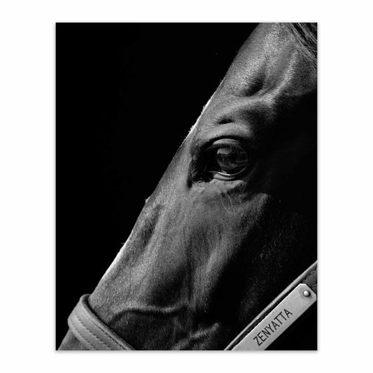 American Thoroughbred